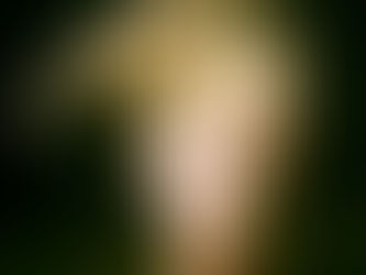 Still Life Image Showreel