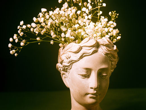 Still Life Image Showreel