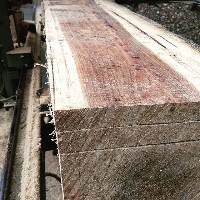 Live edge Hickory boards__#liveedge #saw