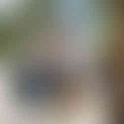 Cắm trại hồ Đồng đò