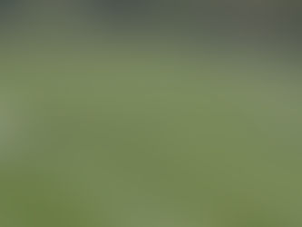 Find The Best Video Camera For Sports