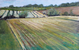 Middle Field and West Field winter