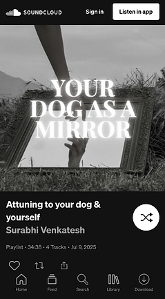 Stream Surabhi Venkatesh Listen to Attuning to your dog & yourself playlist online for fr
