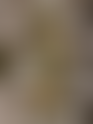 British Virgin Islands (BVI) - Caribbean to Fit Your Style