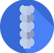 dorsal-spine.png