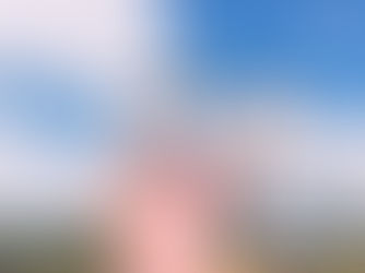 HELLO ROBOTS. GOODBYE JOBS?