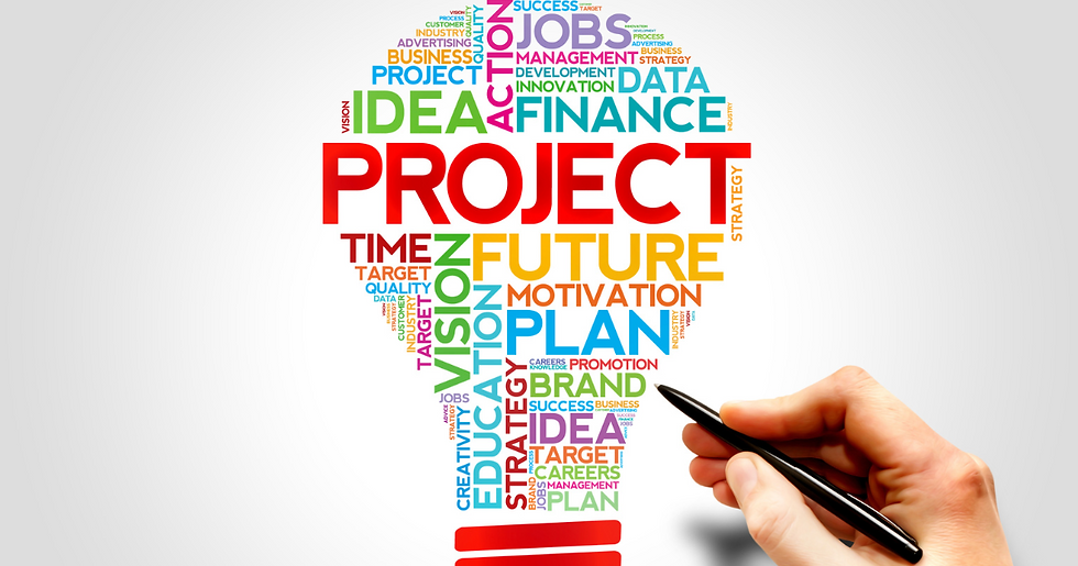 The Role of a Project Manager