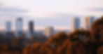 Skyscrapers under a pink sunset with trees in the foreground. The sky has scattered clouds, creating a tranquil cityscape.