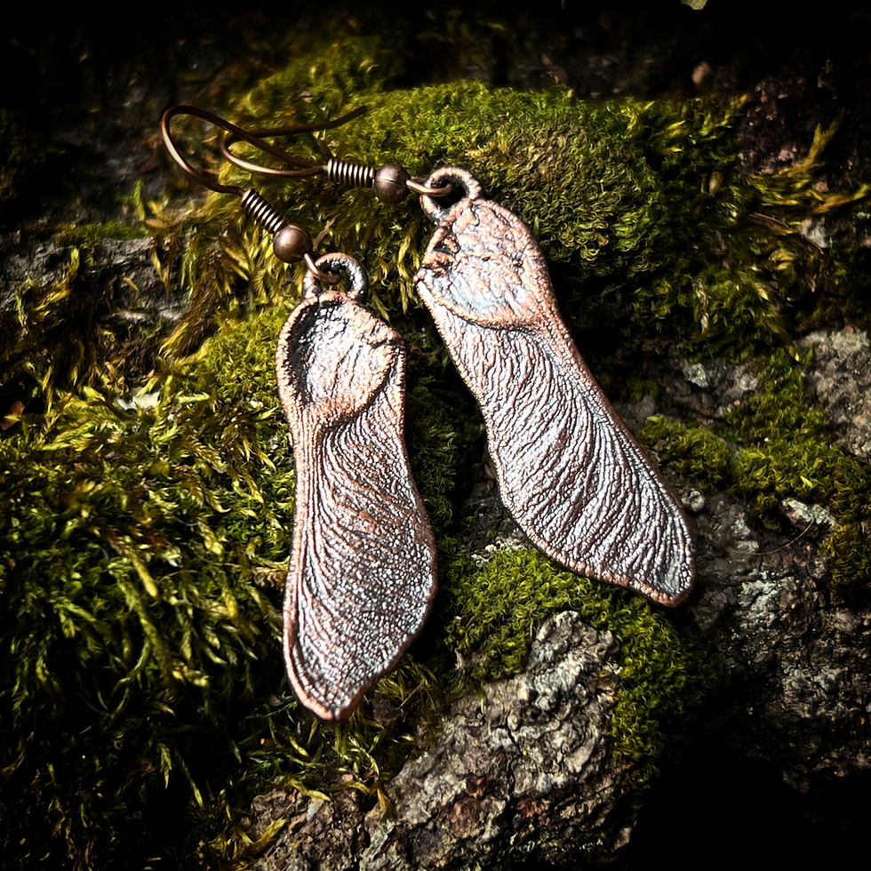 Miniaturbild: Ahorn Ohrringe | verkupfert