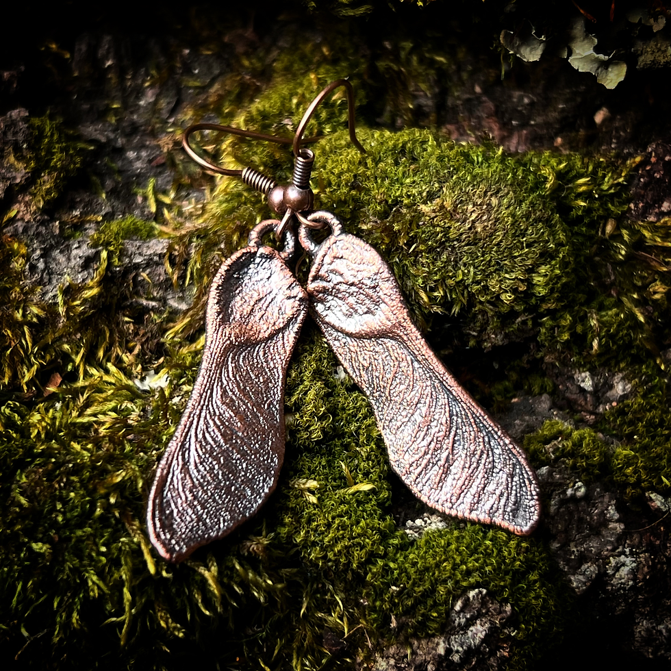 Miniaturbild: Ahorn Ohrringe | verkupfert