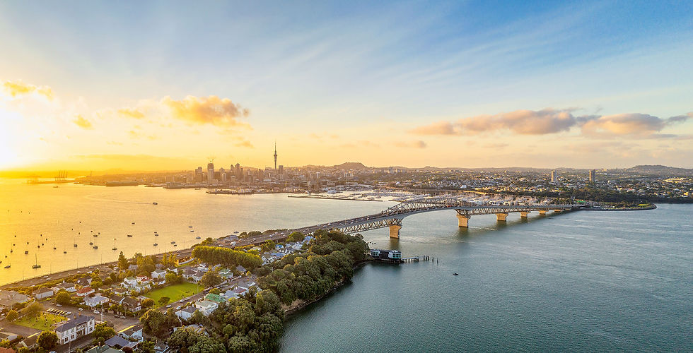 auckland-aerial-skyline.jpg