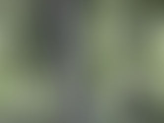 🔍 La coopération transnationale pour la conservation des ressources génétiques forestières🌲