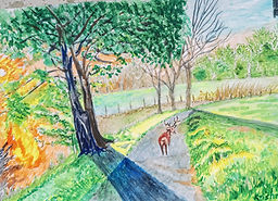 landscape with depth