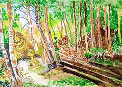 Thekkady, a thickly wooded forest deep down in Kerala