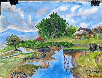 verdant vegetation and water body around a settlement