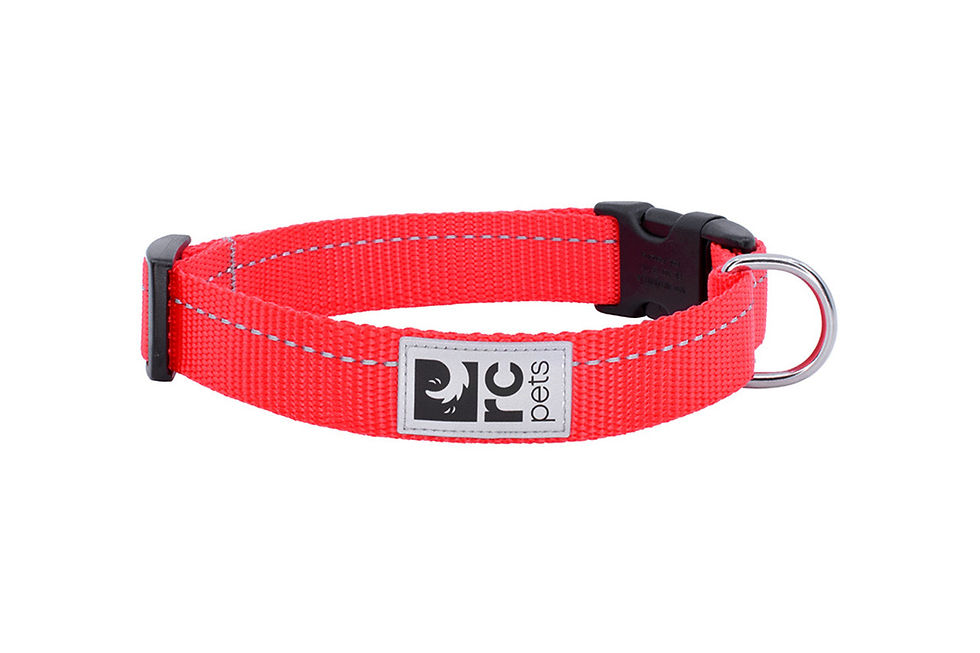 Thumbnail: RC Pets Dog Primary Clip Collar