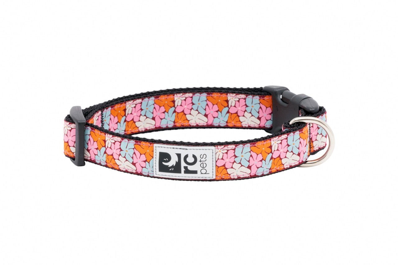 RC Pets Clip Collar Boho