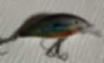Thumbnail: Real Bream