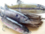 Glide Shad