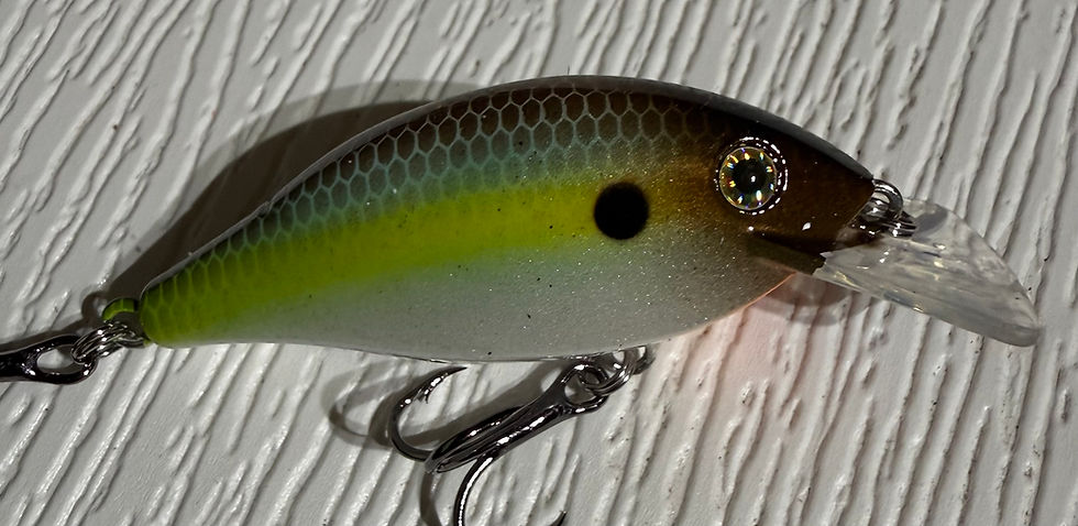 Thumbnail: Summer Shad