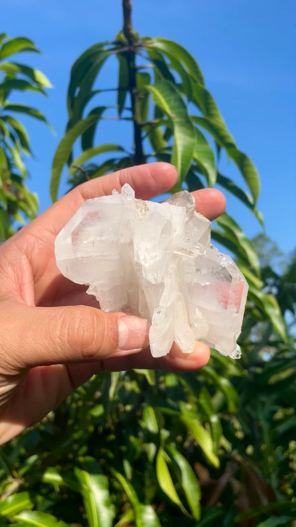 Thumbnail: Faden Quartz Cluster