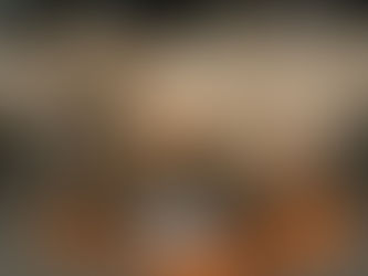 Gui Completa para Alimentar perros pequeños