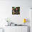Thumbnail: Matte Canvas, Stretched, 0.75" "The Amazon Collection" by TrayLuxe Design