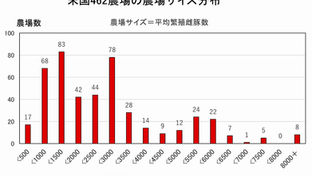 母豚8000頭超農場の登場
