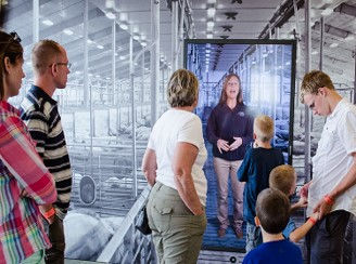 養豚テーマパーク