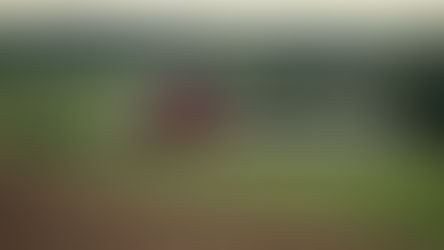 米国の予測:2026年日本養豚