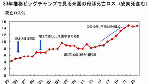 母豚の死亡10%増加