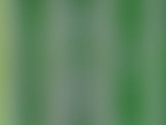 第三者事業承継