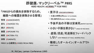 PRRS対策のマック・リーベル法