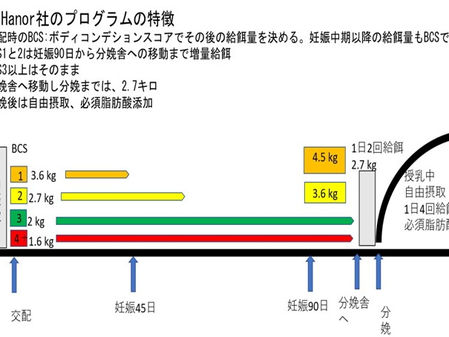 米国の母豚飼料給餌法