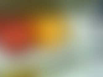 筋肉の繊維タイプ