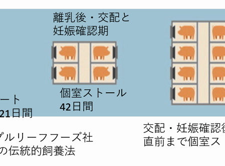 北米の伝統的妊娠期ストール