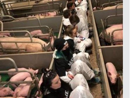 農場に不法侵入