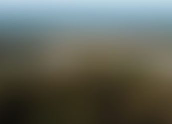 高生産性農場ビデオツアー1