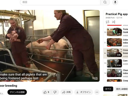 英国流農場実践ビデオ