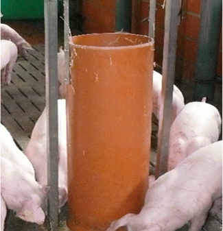 エンリッチメント例