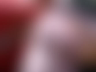 欧州の規制:去勢