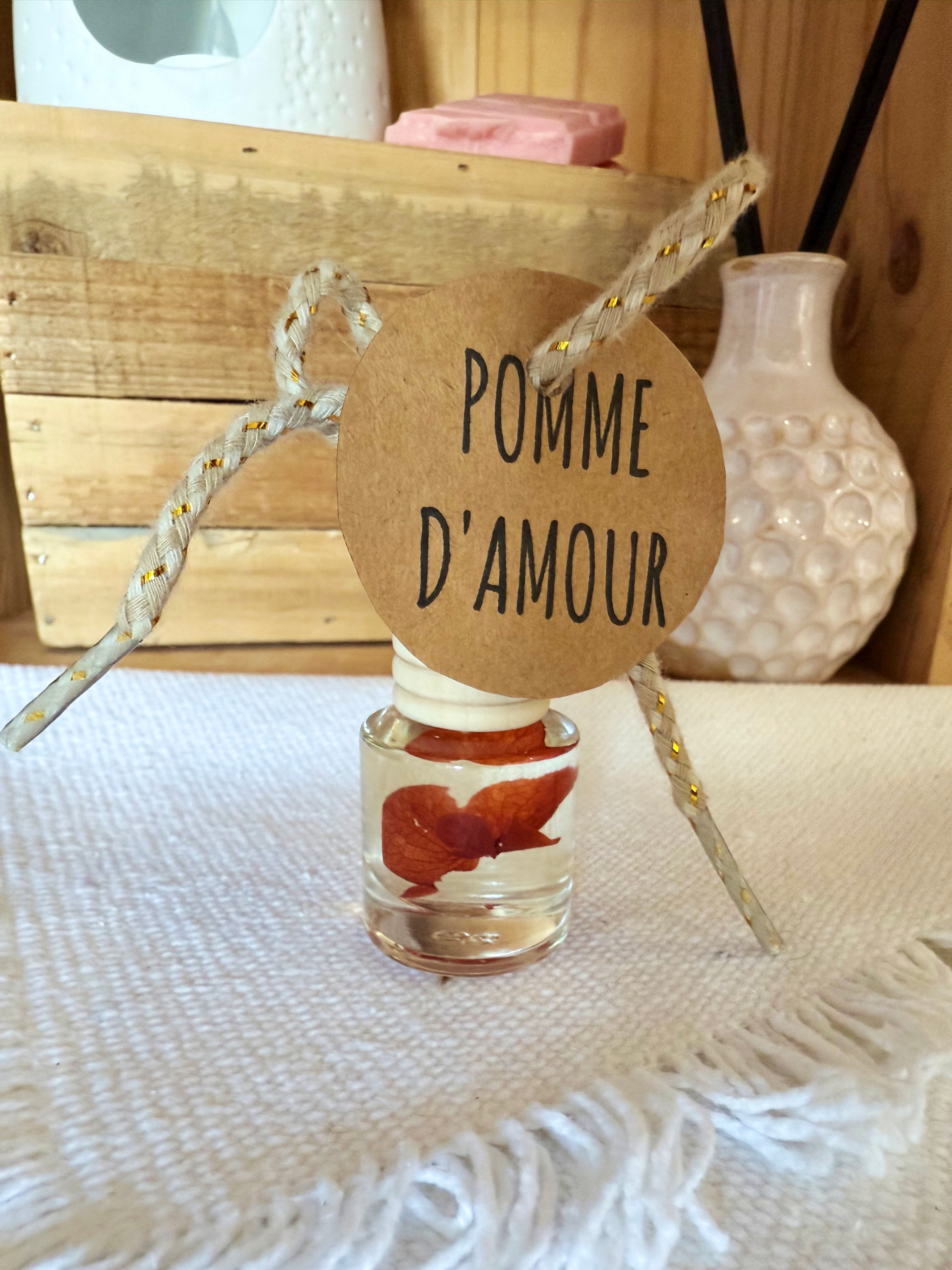 Diffuseur de voiture rechargeable - Pomme d’amour