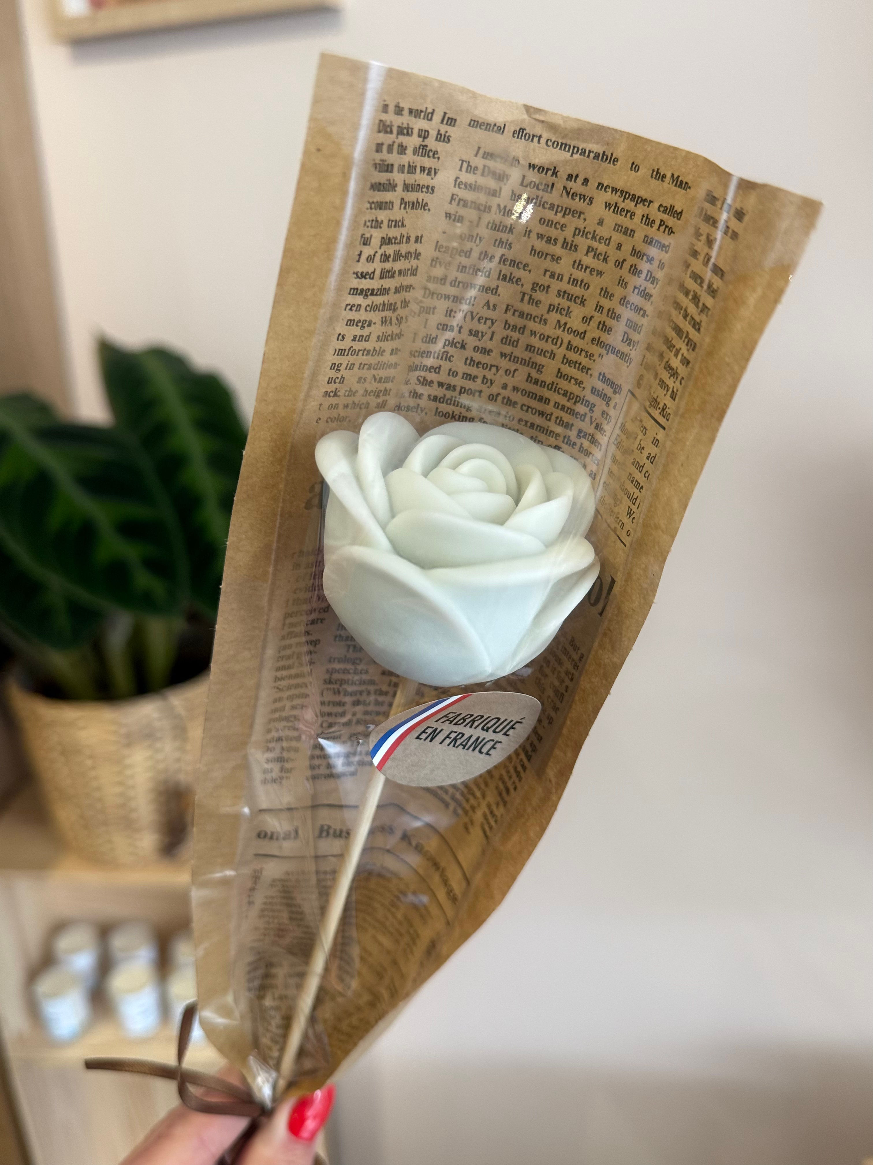 Rose en cire parfumée · Cachemire & Soie