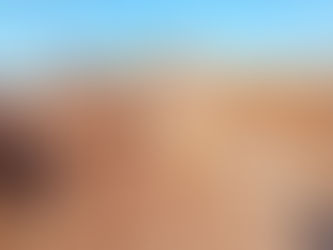 能登ヒバプロジェクト