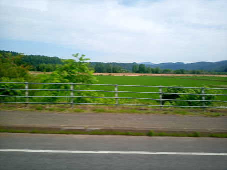 名寄の田んぼ