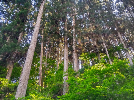 南三陸町の復興