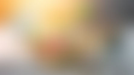 Como investir em fundos e letras do agro de imóveis