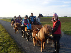 Mit der Kutsche durchs Gelände