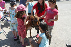 Im eigenen Garten Ponyreiten