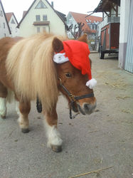 2011-11-16 13.31.19.jpg